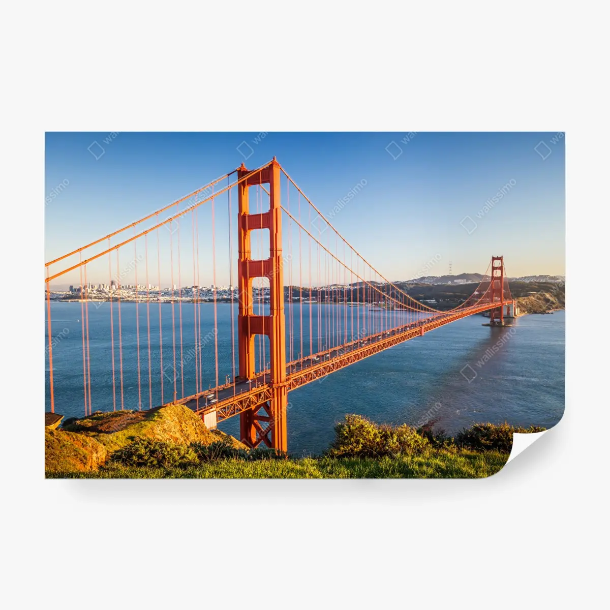 Fototapete panoramablick auf die Golden Gate Bridge – Pixers®