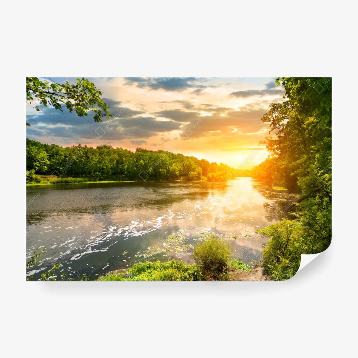 Fototapete ruhiger sonnenuntergang am fluss im grünen wald – Pixers®