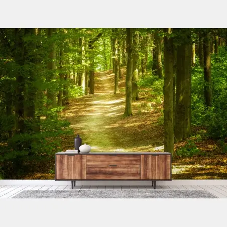 Fototapete sonniger waldpfad – Pixers®