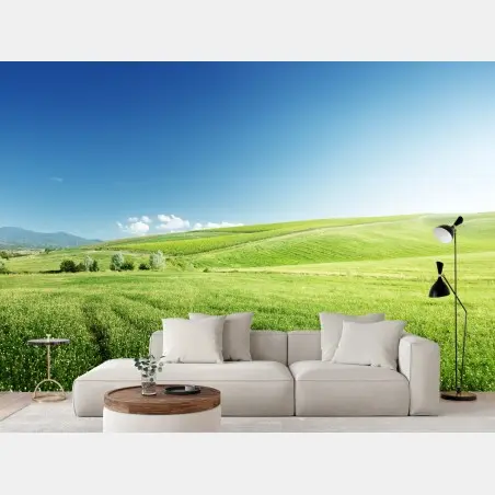 Fototapete ruhige grüne wiesenlandschaft – Pixers®