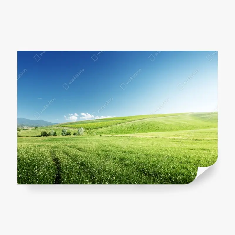 Fototapete ruhige grüne wiesenlandschaft