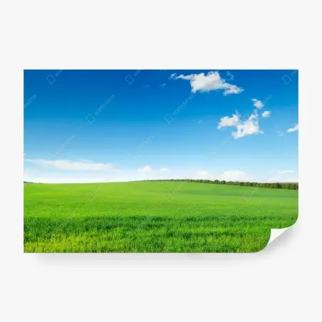 Fototapete ruhige grüne wiese unter blauem himmel – Pixers®