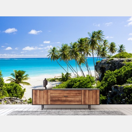 Fototapete Bottom Bay palmenstrand, Barbados – Pixers®