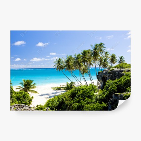 Fototapete Bottom Bay palmenstrand, Barbados – Pixers®
