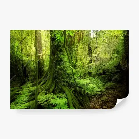 Fototapete üppiger tropischer dschungel – Pixers®