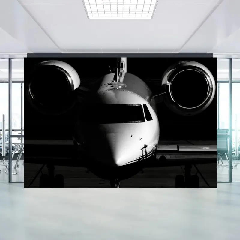 Fototapete monochrome frontalansicht eines privatjets