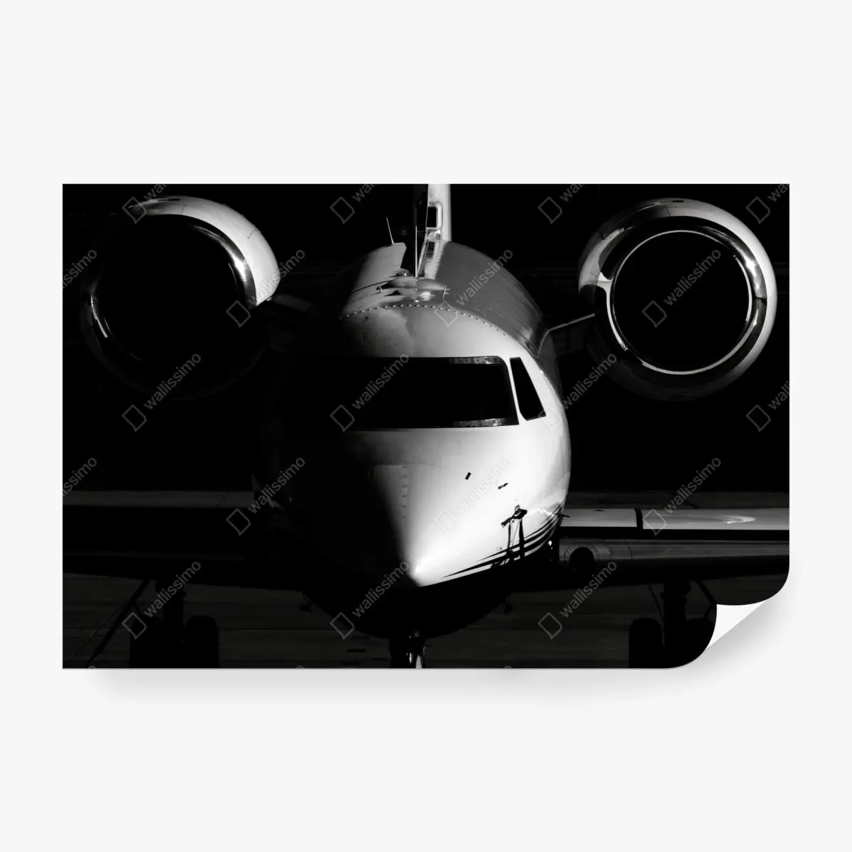 Fototapete monochrome frontalansicht eines privatjets – Pixers®