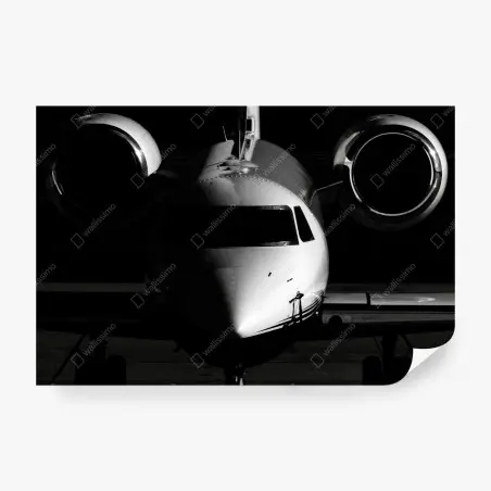Fototapete monochrome frontalansicht eines privatjets – Pixers®
