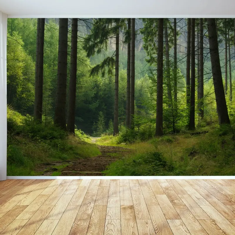 Fototapete ruhiger waldpfad
