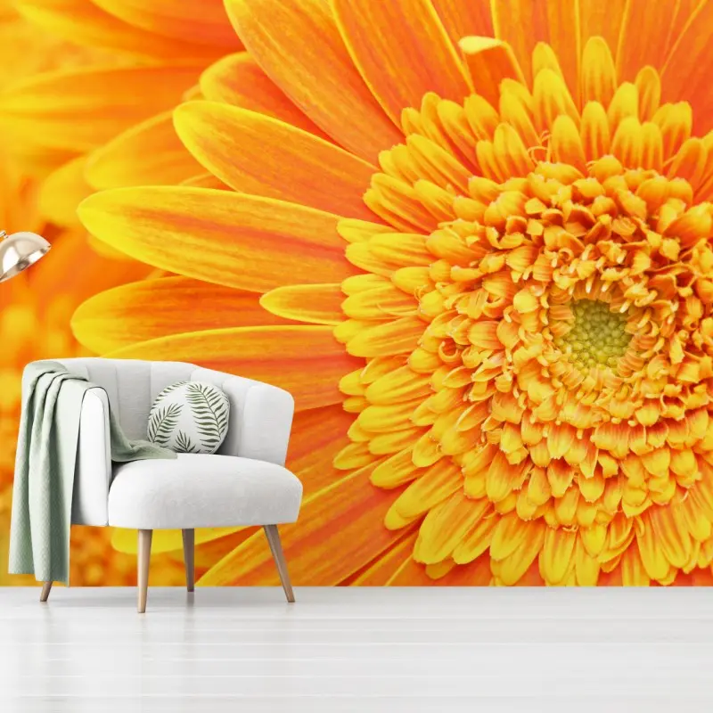 Fototapete leuchtende orange gerbera in makro