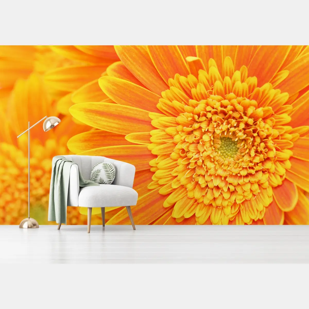 Fototapete leuchtende orange gerbera in makro – Pixers®