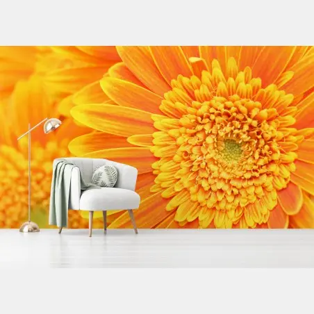 Fototapete leuchtende orange gerbera in makro – Pixers®