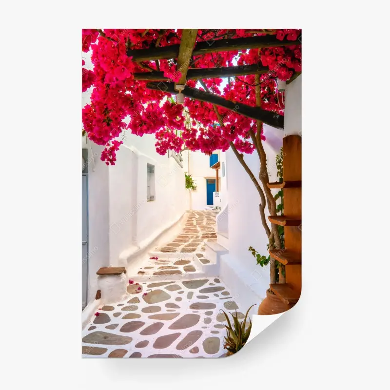 Fototapete sonnige gasse in Griechenland mit bougainvillea