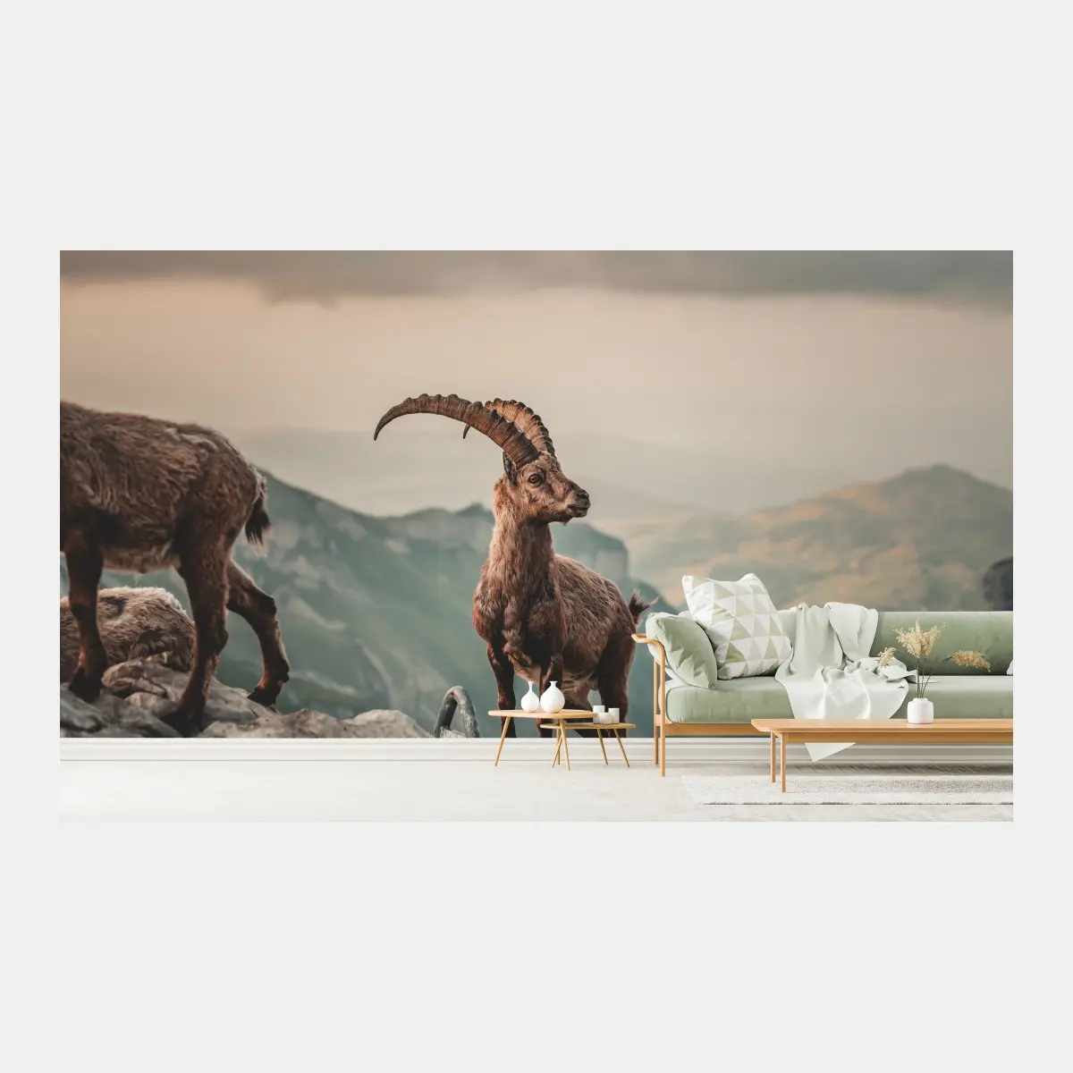 Fototapete alpensteinbock auf felsigem kamm – Pixers®
