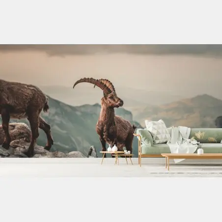 Fototapete alpensteinbock auf felsigem kamm – Pixers®