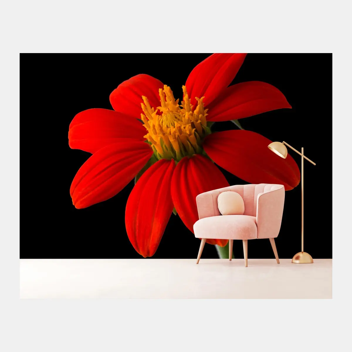 Fototapete leuchtende mexikanische sonnenblume auf schwarzem hintergrund – Pixers®
