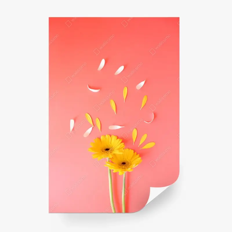 Fototapete sonnige gelbe gerbera auf korallfarbenem hintergrund