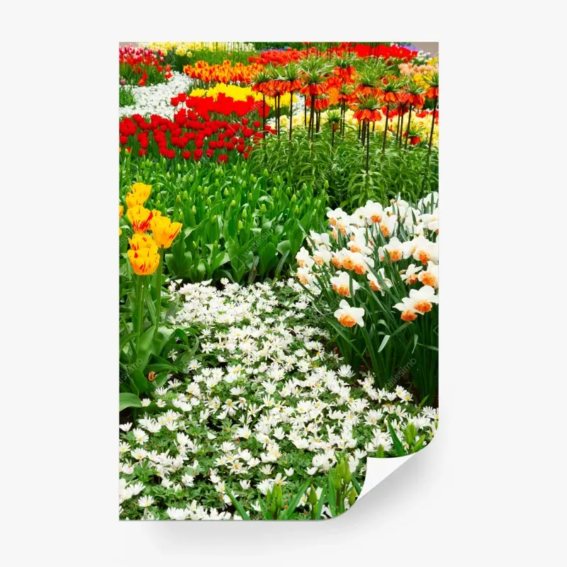 Fototapete lebendiger frühlingsblumengarten
