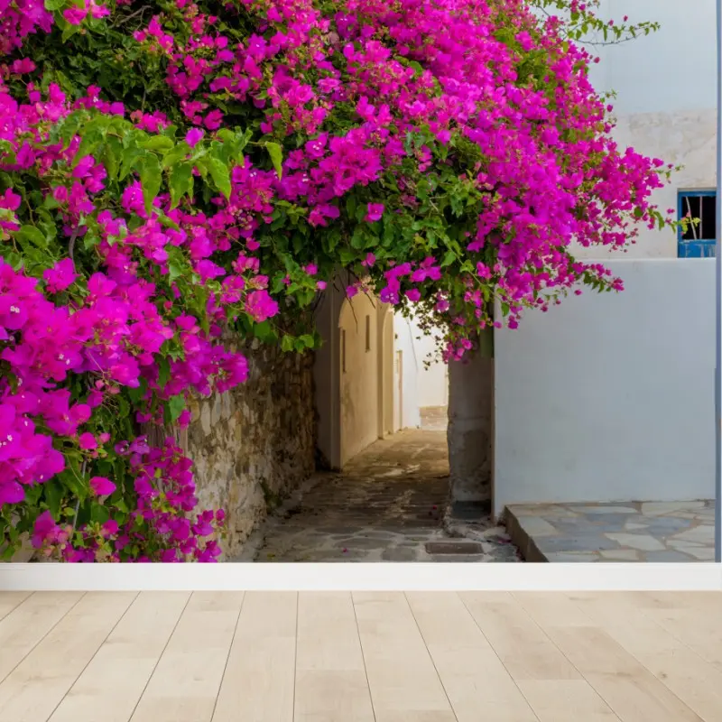 Fototapete blühende bougainvillea in Naousa gasse