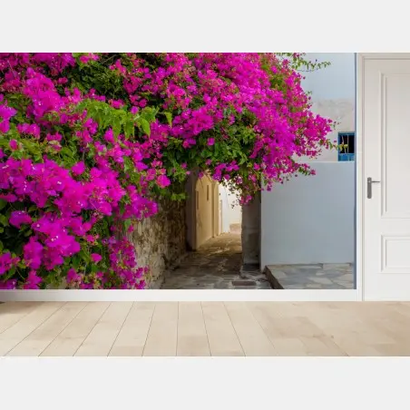 Fototapete blühende bougainvillea in Naousa gasse – Pixers®