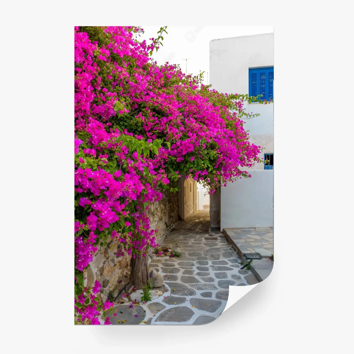Fototapete blühende bougainvillea in Naousa gasse – Pixers®