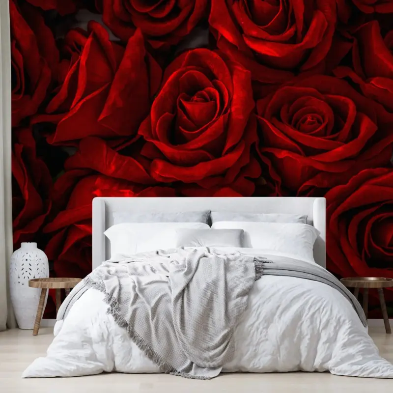 Fototapete intensive rote rosen nahaufnahme
