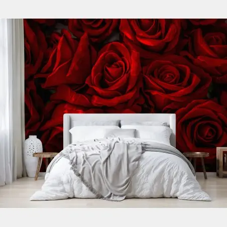 Fototapete intensive rote rosen nahaufnahme – Pixers®