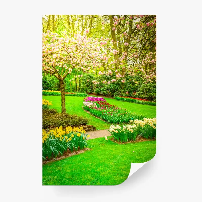 Fototapete frühlingsgarten in blüte: tulpen und kirschblüten