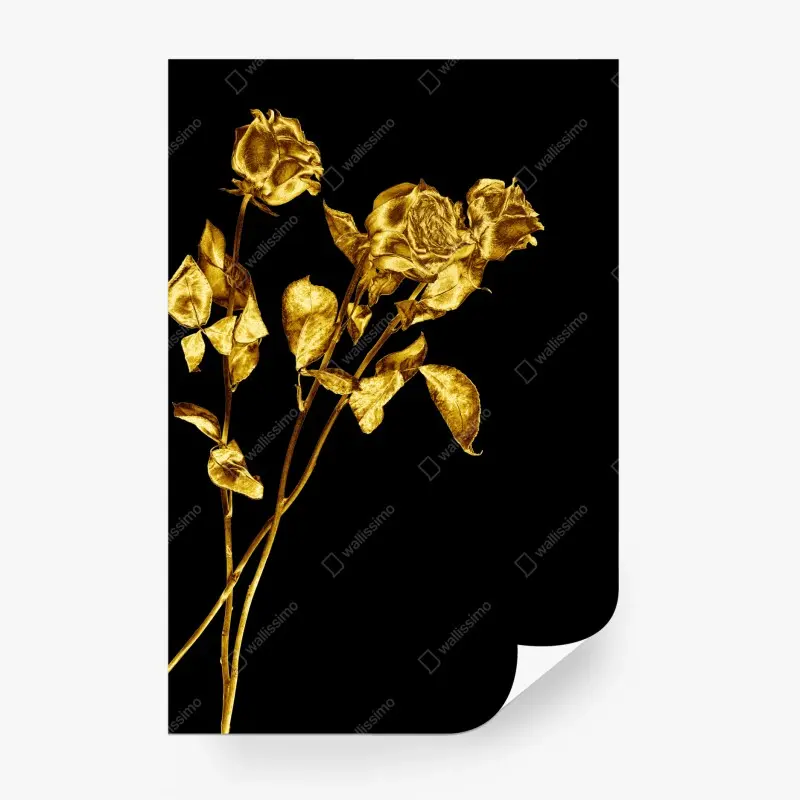 Fototapete goldene rosen vor schwarzem hintergrund