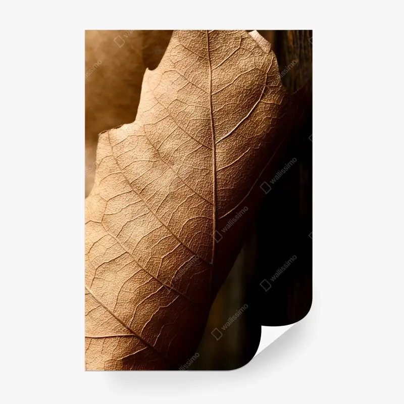 Fototapete strukturiertes trockenes blatt nahaufnahme