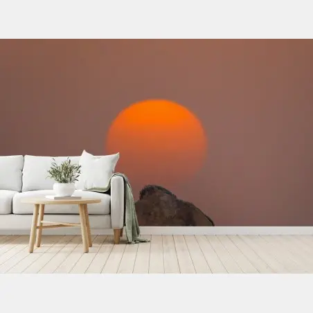 Fototapete kamel vor sonnenuntergang in der wüste – Pixers®