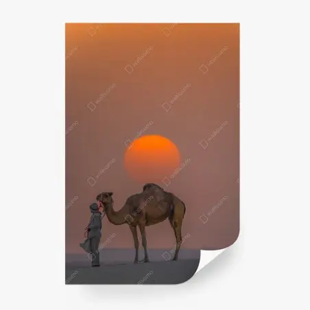 Fototapete kamel vor sonnenuntergang in der wüste – Pixers®