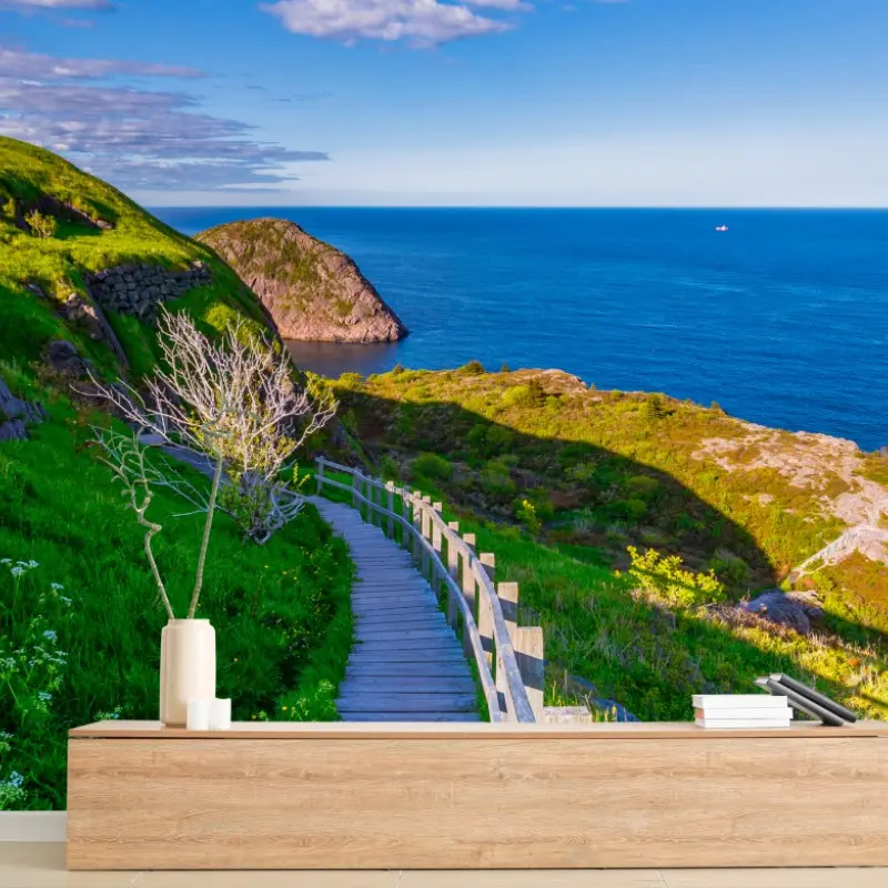Fototapete küstenpfad mit blick auf das meer