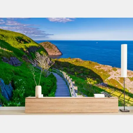 Fototapete küstenpfad mit blick auf das meer – Pixers®