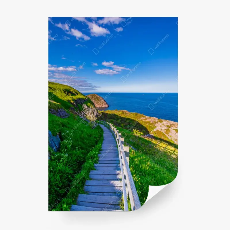 Fototapete küstenpfad mit blick auf das meer