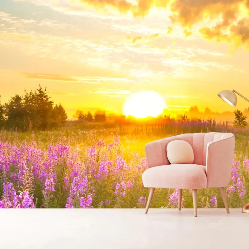 Fototapete sonnenaufgang über violetter wildblumenwiese