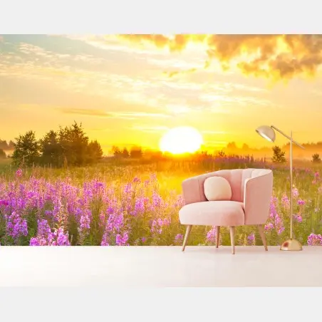 Fototapete sonnenaufgang über violetter wildblumenwiese – Pixers®