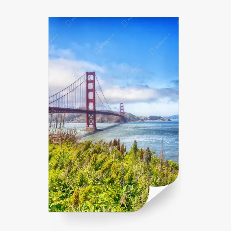 Fototapete Golden Gate über der Bucht von San Francisco