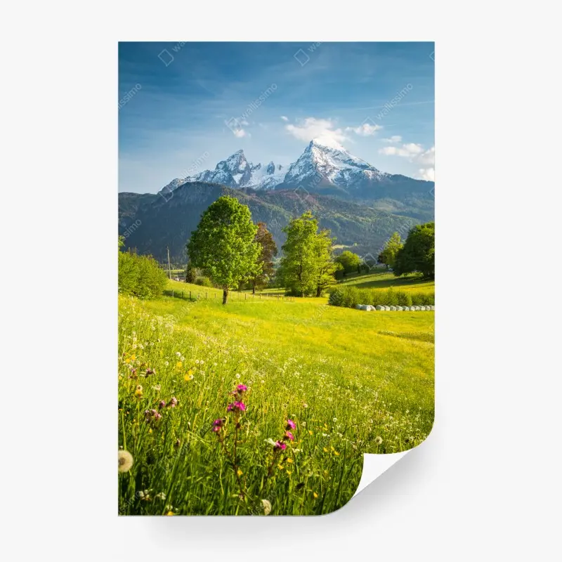 Fototapete alpine frühlingswiese unter schneebedeckten gipfeln