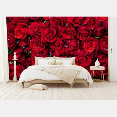 Fototapete dichte wand aus roten rosen – Pixers®