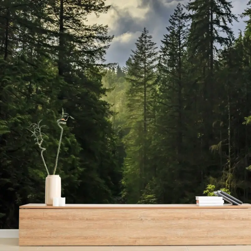 Fototapete nebliger immergrüner wald mit wasserfall