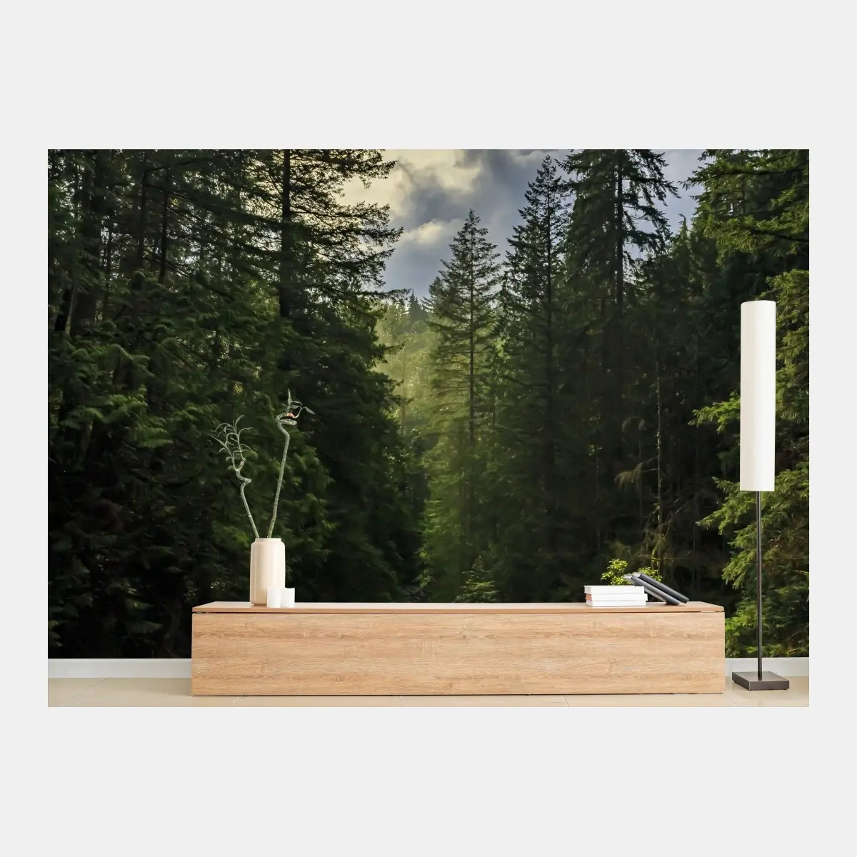 Fototapete nebliger immergrüner wald mit wasserfall – Pixers®