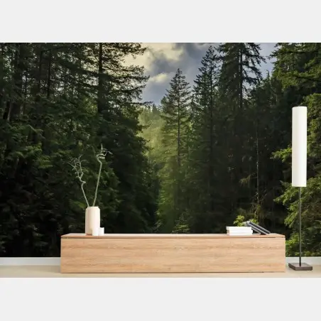 Fototapete nebliger immergrüner wald mit wasserfall – Pixers®