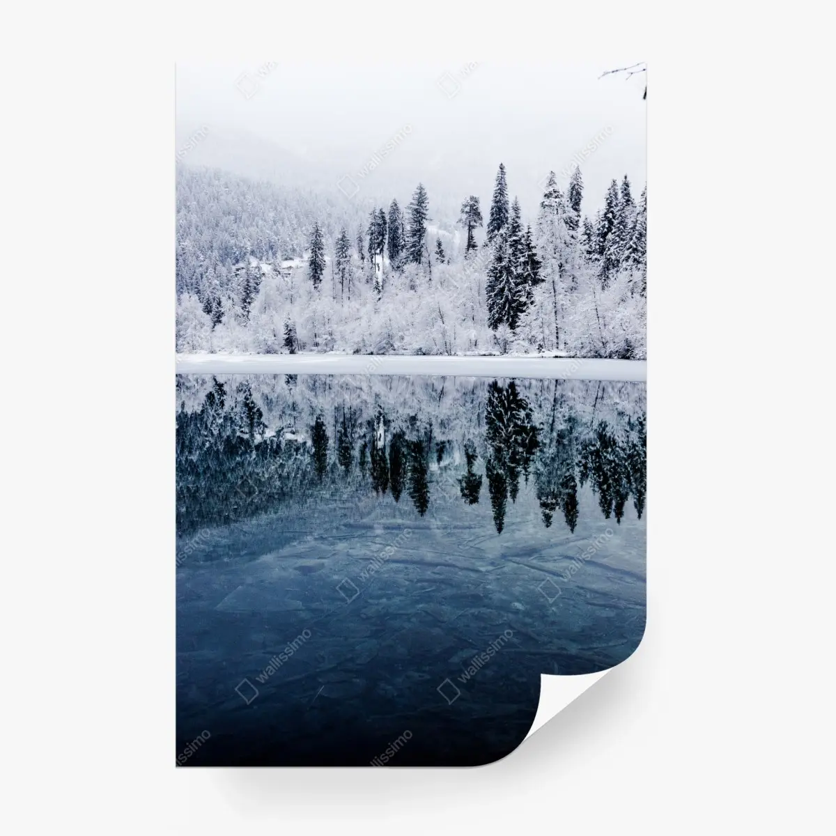 Fototapete winterlicher see mit spiegelung im verschneiten wald – Pixers®