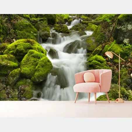 Fototapete moosiger wasserfall – Pixers®