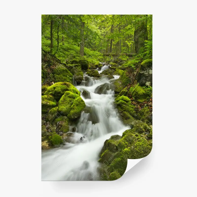 Fototapete moosiger wasserfall