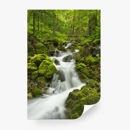 Fototapete moosiger wasserfall – Pixers®