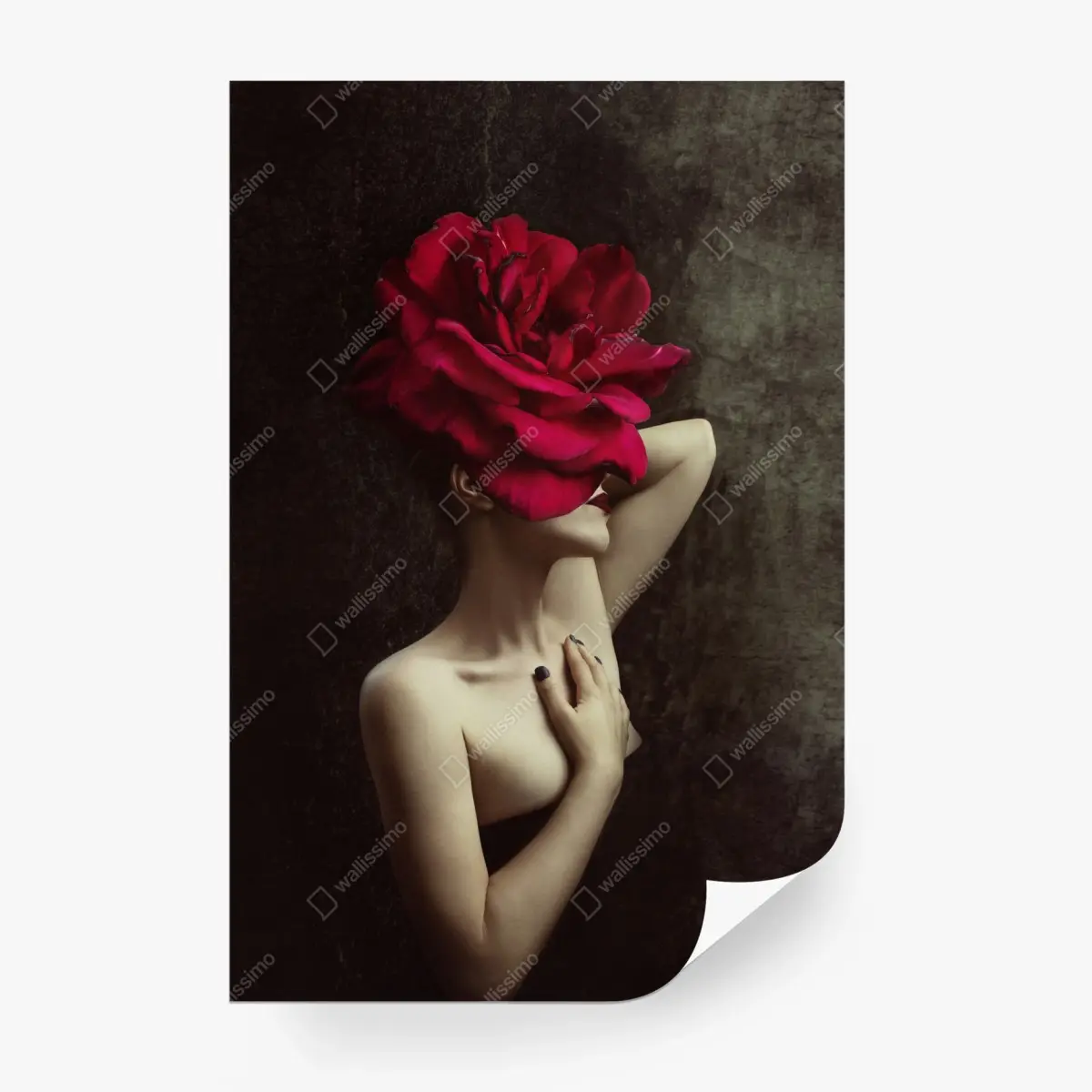 Fototapete frau mit rosenkopf surreales blumenporträt – Pixers®