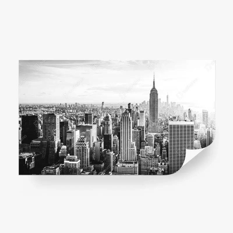 Fototapete New York panorama in schwarzweiß