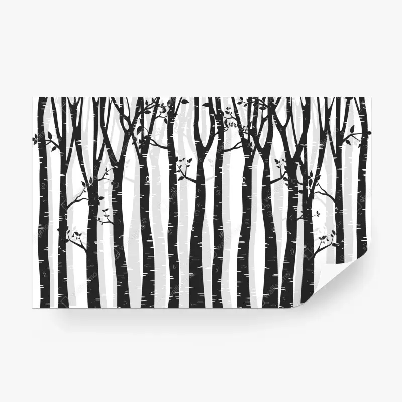 Fototapete monochromatischer birkenwald